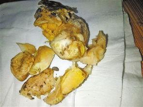 鸡的最新爆料,揭秘最新鸡类爆料背后的秘密